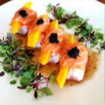 Salmon Mango (4)